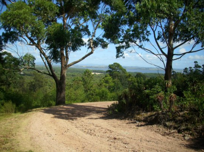 Arboretum Lussich, Maldonado Department, Uruguay